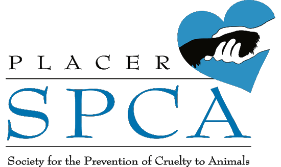 placer spca-png-trans